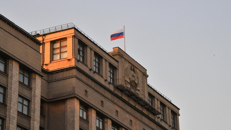 ГД готовится принять проект о снятии запрета деятельности террорганизаций