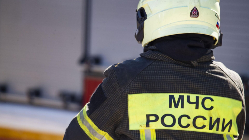 Годовая премия: от чего зависит размер бонуса к Новому году