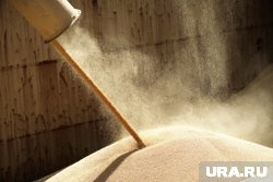 Кадыров ответил на слухи Запада об ухудшении отношений России и Сирии