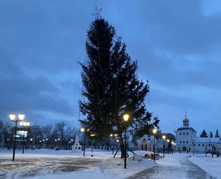 Курганцы сфотографировали «пизанскую елку» в Далматово