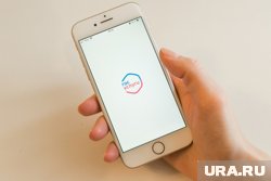 У отелей Санкт-Петербурга возникли проблемы из-за мигрантов и «Госуслуг»