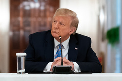 Трамп выразил готовность к контактам с Путиным: главные заявления нового президента США по Украине