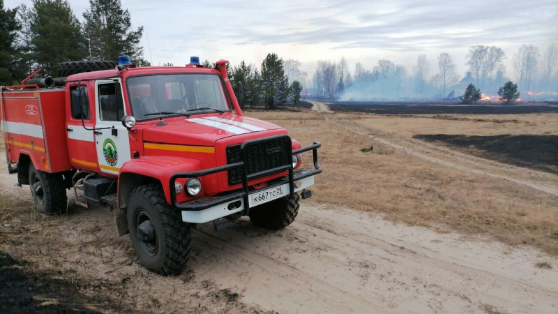Правила поведения при пожаре: вызов спасателей, эвакуация, первая помощь