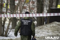 Следователи проверят инцидент с выброшенной из окна девушкой в Гамово под Пермью